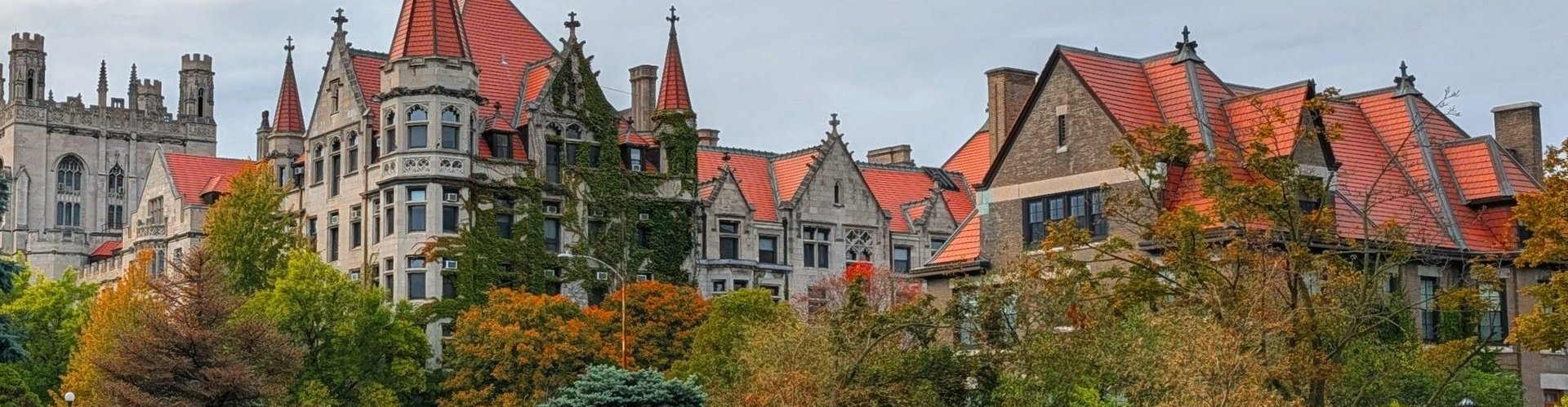 UChicago campus in fall